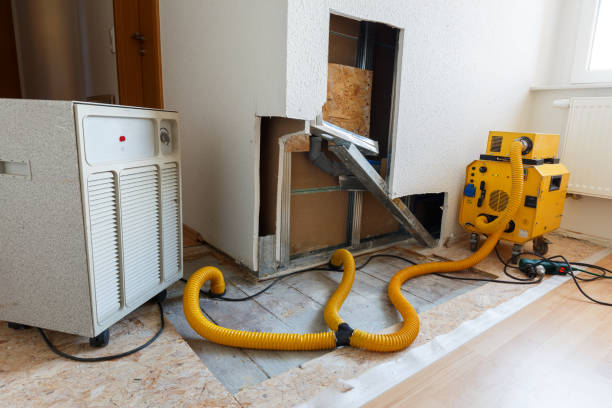 Best Asbestos and Lead Testing During Mold Inspection  in Middletown, IN