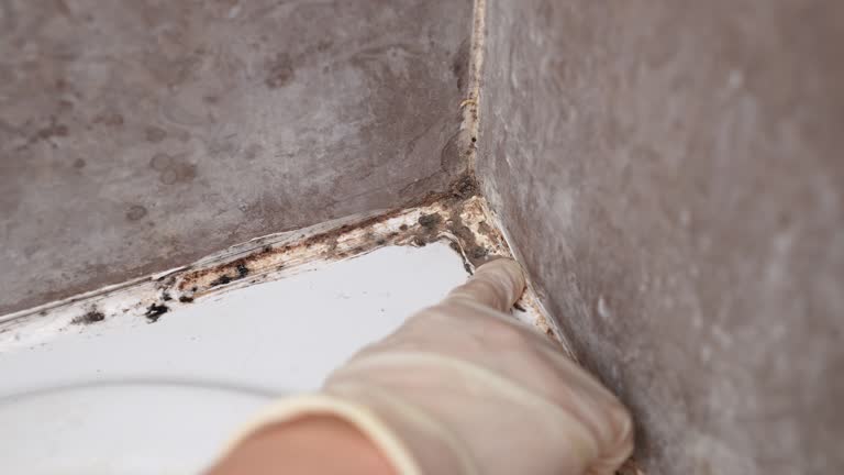 Best Airborne Mold Testing  in Middletown, IN